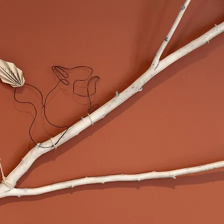 Authentique 2 Chambres, Hyper Centre, French Corner Διαμέρισμα *