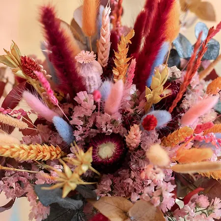 Authentique 2 Chambres, Hyper Centre, French Corner *